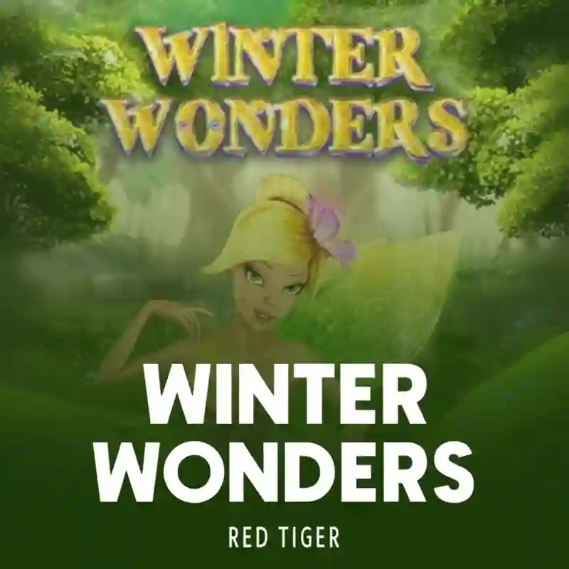 Winter Wonders